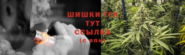 СК Михайлов
