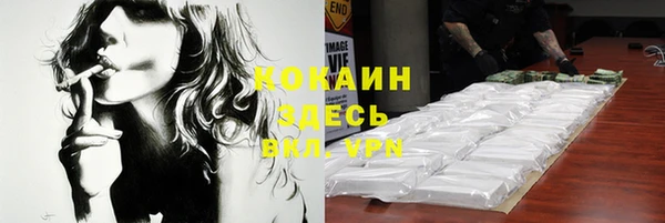 СК Михайлов