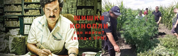 СК Михайлов