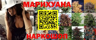 стаф Гатчина