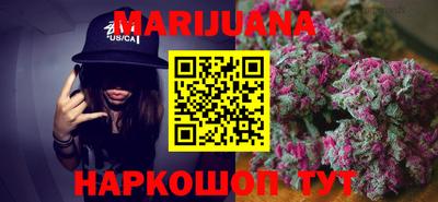 стаф Гатчина