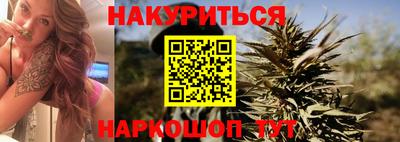 стаф Гатчина