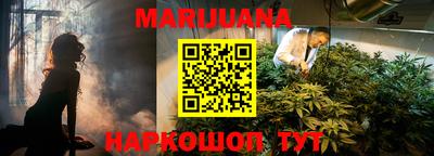 прущие грибы Аргун