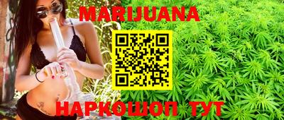 стаф Гатчина