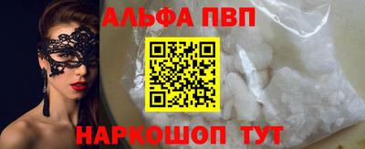 стаф Гатчина