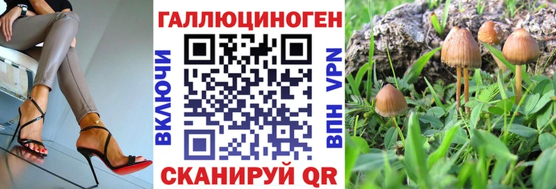 Псилоцибиновые грибы Cubensis  Миллерово 