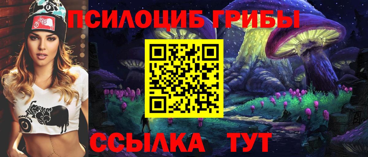 Псилоцибиновые грибы Psilocybe Миллерово