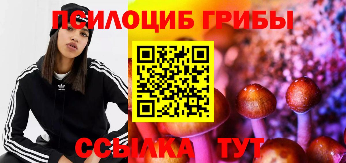 Галлюциногенные грибы Cubensis  Галлюциногенные грибы мицелий  Вход с VPN  Миллерово 